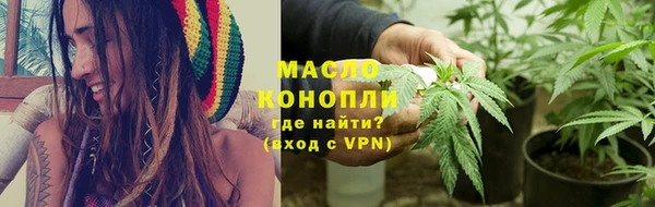 гидра Надым