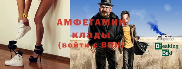 гидра Надым