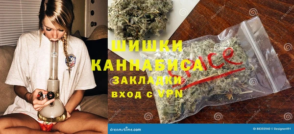 гидра Надым