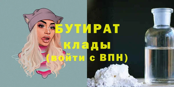 гидра Надым