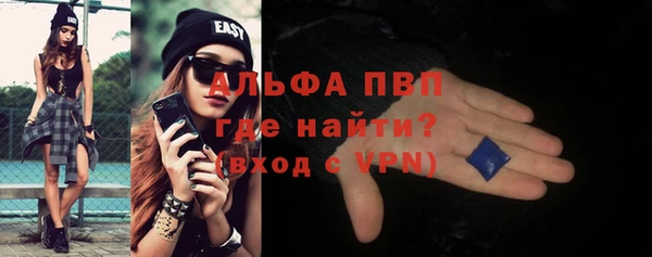 гидра Надым