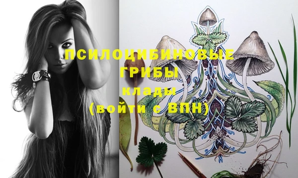 PSILOCYBIN Наволоки