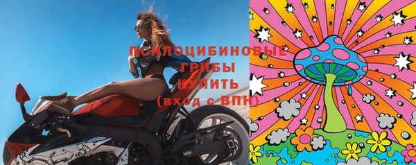 PSILOCYBIN Наволоки