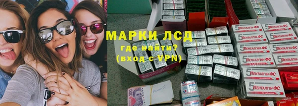 гидра Надым