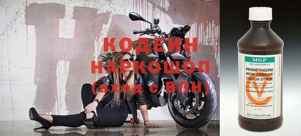 гидра Надым