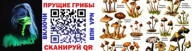 Галлюциногенные грибы GOLDEN TEACHER  Рыльск 